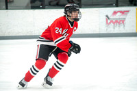 NHM v West Bend 007