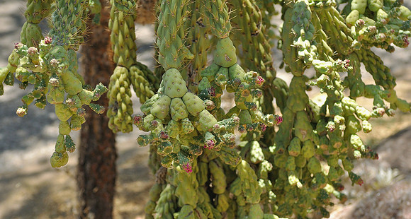 az-vacation-2013_289_9170535568_o