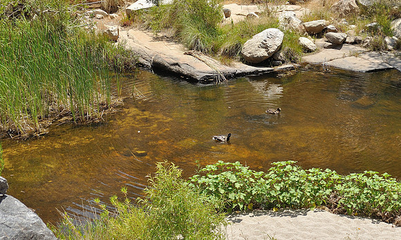 az-vacation-2013_274_9168199111_o