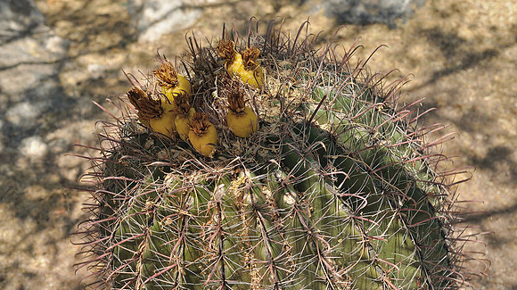 az-vacation-2013_288_9170528488_o