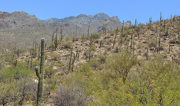 az-vacation-2013_258_9168078709_o