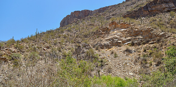az-vacation-2013_281_9170482260_o