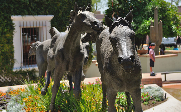 az-vacation-2013_249_9168016555_o