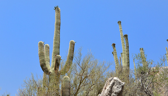 az-vacation-2013_261_9168093721_o