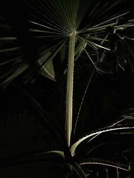 2017-arizona-vacation_35903029994_o