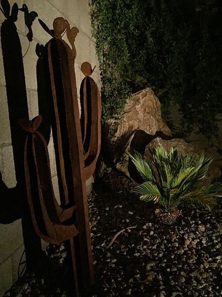 2017-arizona-vacation_35903046544_o