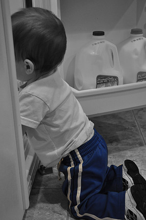 mason in fridge - blue pants