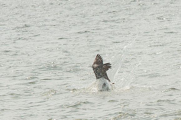Fort_Sumter_Trip__023