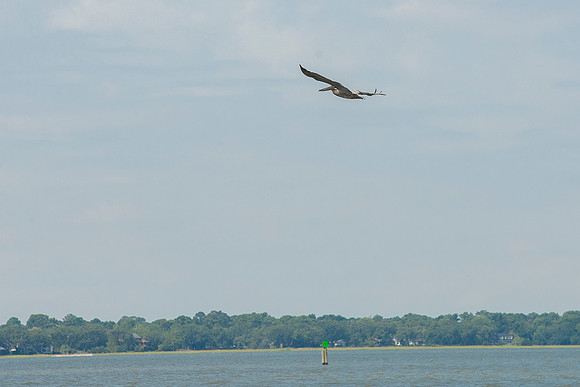 Fort_Sumter_Trip__010