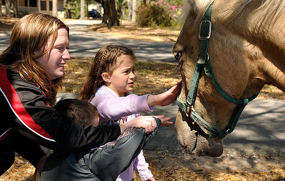 hilton-head-2013_124_8669254559_o