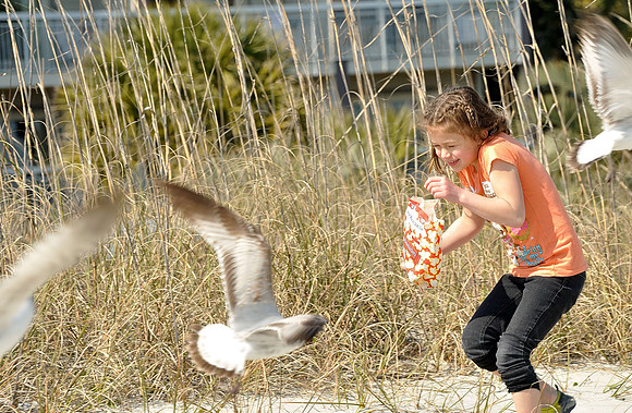 hilton-head-2013_262_8669920593_o