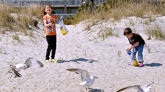 hilton-head-2013_172_8670470788_o
