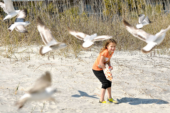 hilton-head-2013_257_8671019868_o