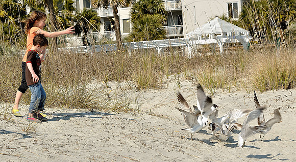 hilton-head-2013_263_8671023050_o