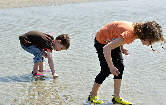 hilton-head-2013_215_8669903473_o
