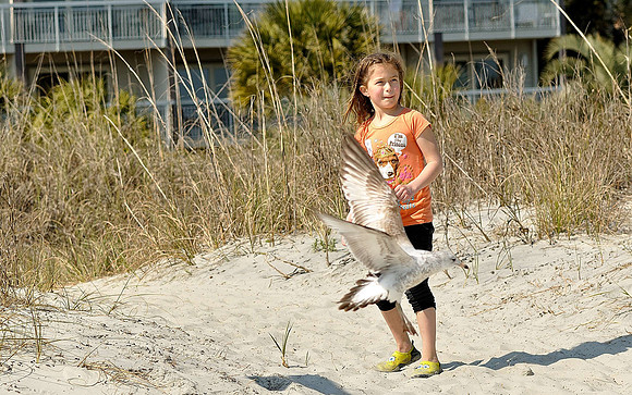 hilton-head-2013_259_8669919445_o