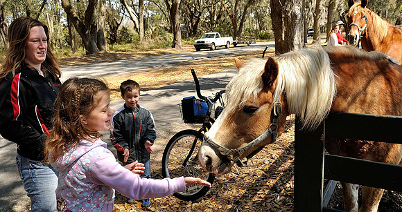 hilton-head-2013_108_8670274484_o
