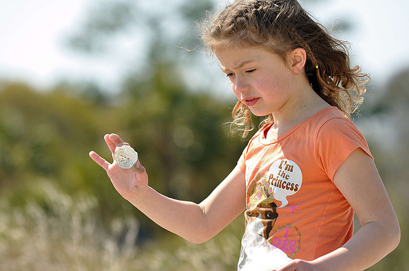 hilton-head-2013_254_8671018744_o