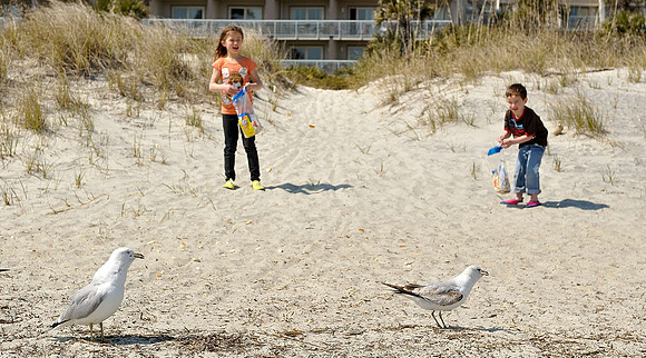 hilton-head-2013_169_8670208130_o
