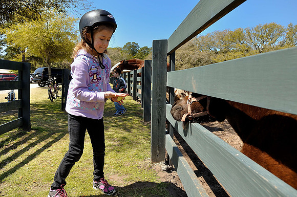 hilton-head-2013_135_8669261537_o