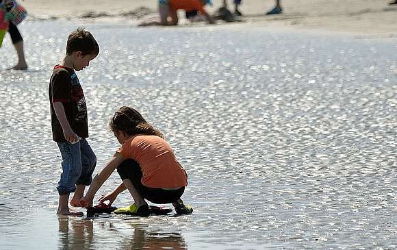 hilton-head-2013_224_8671008326_o