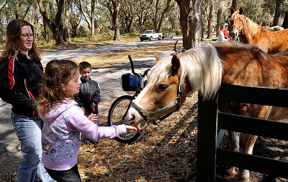 hilton-head-2013_107_8670273916_o