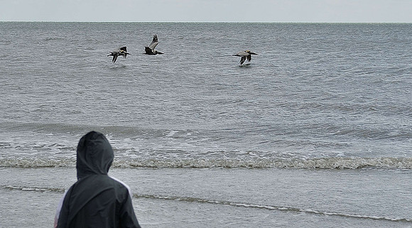hilton-head-2013_074_8670249090_o