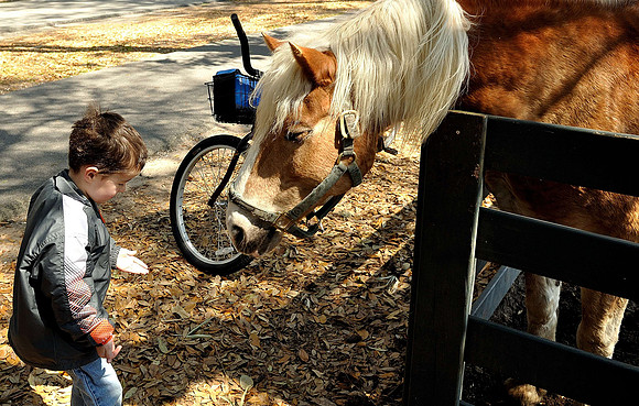 hilton-head-2013_109_8670274994_o
