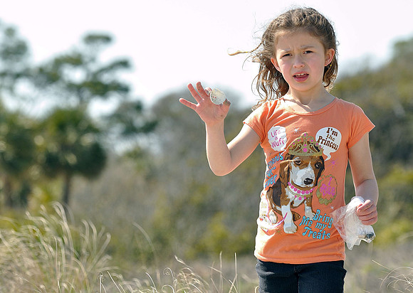 hilton-head-2013_253_8669916539_o