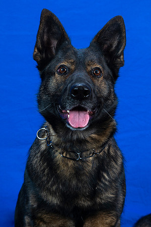 Menasha_PD_123