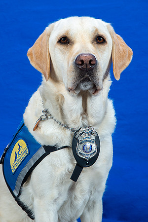 Menasha_PD_007