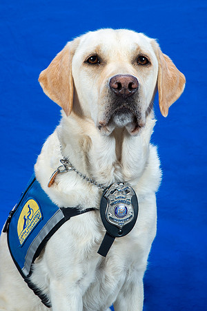 Menasha_PD_008