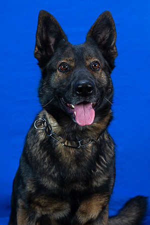 Menasha_PD_124