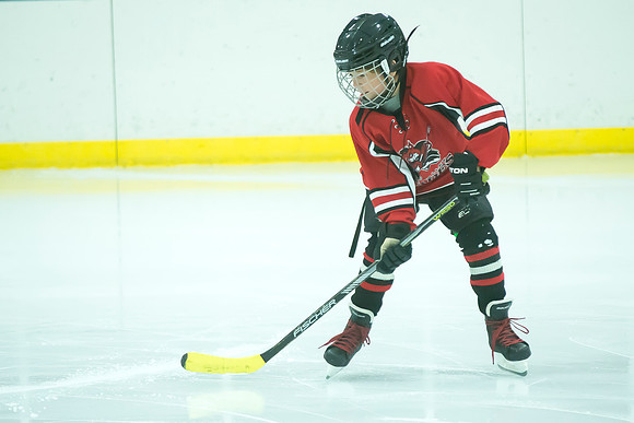 FVYH_Squirt_C_Red_vs_Green_Bay__006