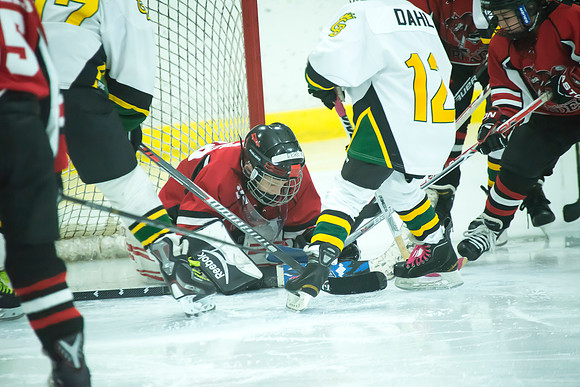 FVYH_Squirt_C_Red_vs_Green_Bay__016
