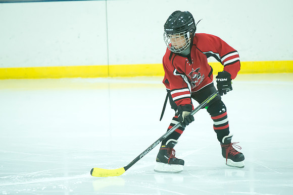 FVYH_Squirt_C_Red_vs_Green_Bay__005