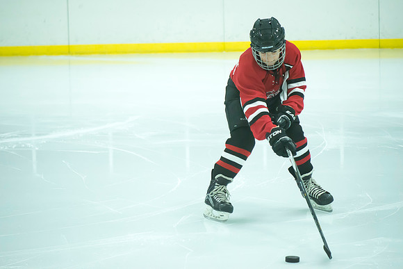 FVYH_Squirt_C_Red_vs_Green_Bay__003