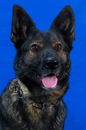 Menasha_PD_122_4x6