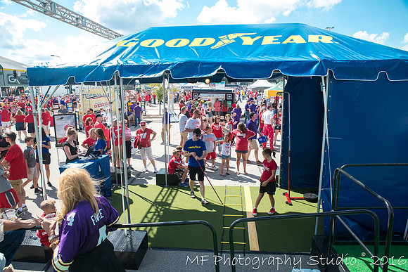 badgers_vs_lsu_0078_29488552776_o