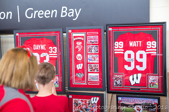 badgers_vs_lsu_0197_29232898840_o