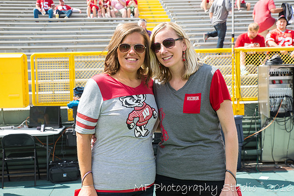 badgers_vs_lsu_0235_28897778324_o