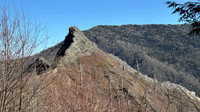 IMG_2409
