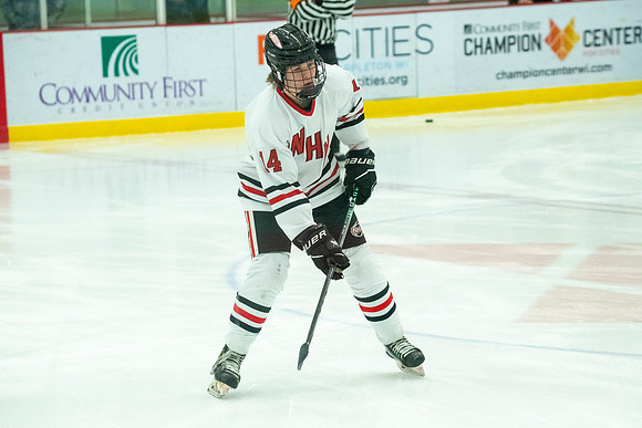 NHM JV vs FDL 028