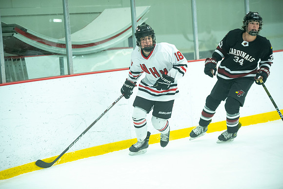 NHM JV vs FDL 218