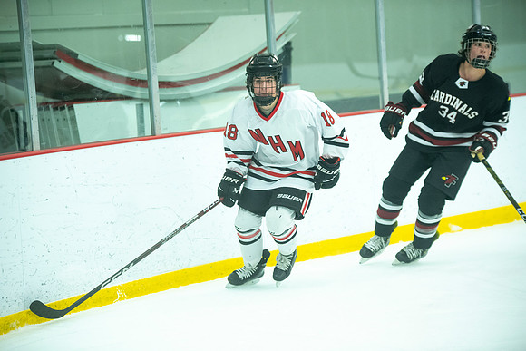 NHM JV vs FDL 219