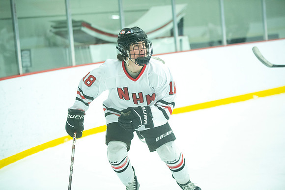 NHM JV vs FDL 226