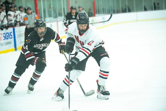 NHM JV vs FDL 233