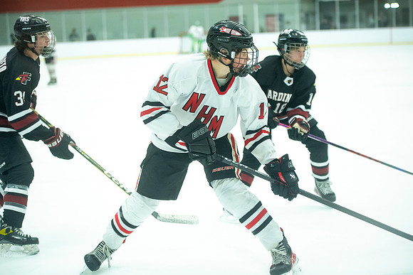 NHM JV vs FDL 239