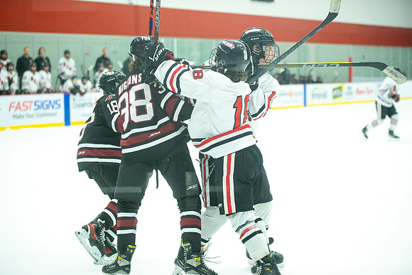 NHM JV vs FDL 266
