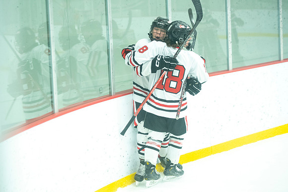 NHM JV vs FDL 291